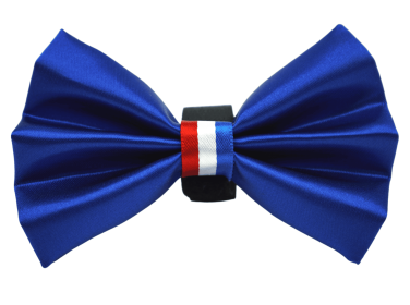 PR3009|Pets Ribbons (Color: Blue, size: 4")