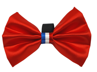 PR3009|Pets Ribbons (Color: Red, size: 4")