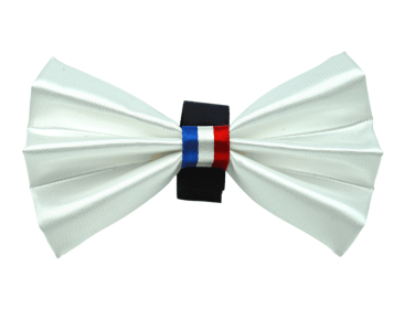 PR3009|Pets Ribbons (Color: White, size: 4")
