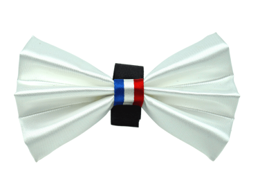 PR3009|Pets Ribbons (Color: White, size: 6")