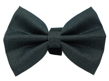 PR4006|Pets Ribbons (size: 6")