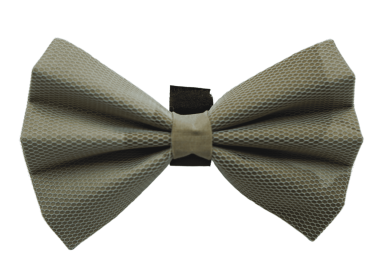 PR5001|Pets Ribbons (Color: Beige, size: 6")