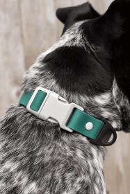 Siberian Spruce Waterproof Dog Collar (size: 17 - 19 inch)