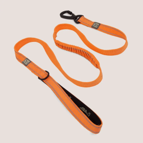 NANDOG Anti-Push Sport Dog Leash With Neoprene Handle (Color: ORANG)