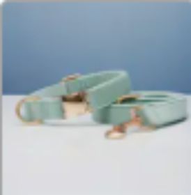 dog Harnesses and dog leash set; Pet Traction Rope Vest Pet Chest Strap Small and Medium Dog Strap Reflective Dog Walking Rope Wholesale (Option: Cyan set-M)