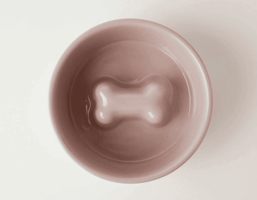 Jax & Bones Bone Slow Feeder Bowl (Color: Pink, size: medium)