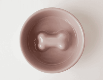 Jax & Bones Bone Slow Feeder Bowl (Color: Pink, size: large)