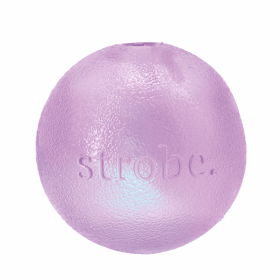 Planet Dog Orbee-Tuff Strobe Ball Light Up Dog Toy (Color: Purple)