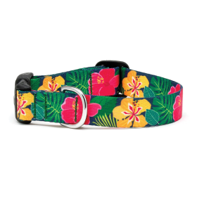 Up Country Sport Hibiscus Collar (size: LG Wide)