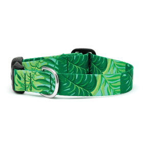 Up Country Sport Palms Collar (size: LG Wide)