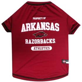 Arkansas Tee Shirt (size: SM)