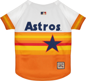 Astros Vintage Rainbow Jersey (size: XS)