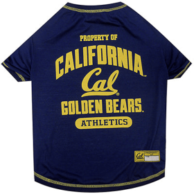 Cal Tee Shirt (size: LG)
