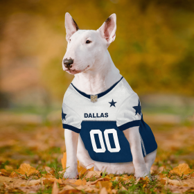 Dallas Cowboys Throwback Jersey (size: SM)
