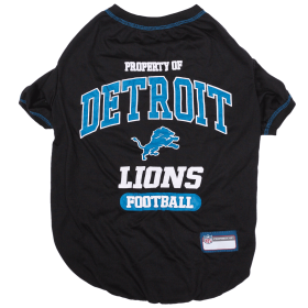 Detroit Lions Tee Shirt (size: SM)
