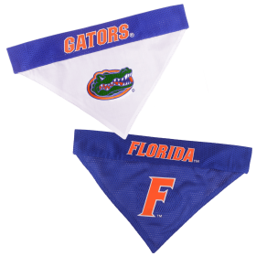 Florida Reversible Bandana (size: L-XL)