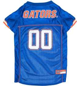 Florida Pet Jersey (size: LG)