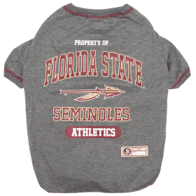 Florida State Tee Shirt (size: XS)