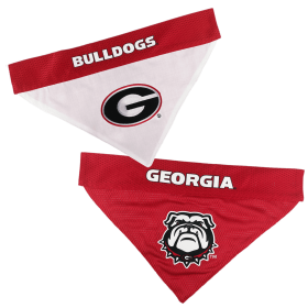 Georgia Reversible Bandana (size: S-M)