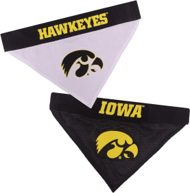 Iowa Reversible Bandana (size: L-XL)