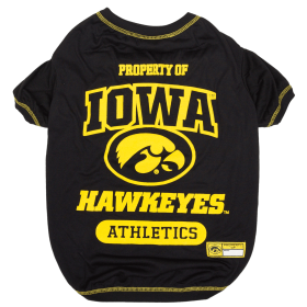 Iowa Tee Shirt (size: SM)