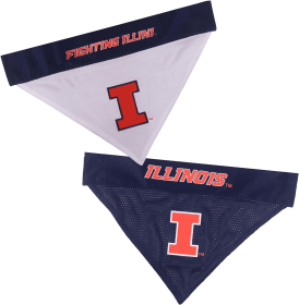 Illinois Reversible Bandana (size: L-XL)