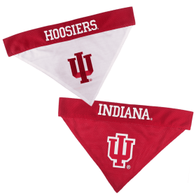 Indiana Reversible Bandana (size: S-M)