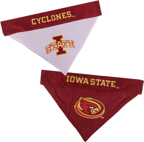 Iowa State Reversible Bandana (size: L-XL)