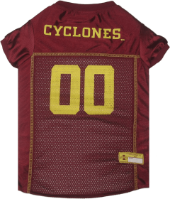 Iowa State Pet Jersey (size: LG)