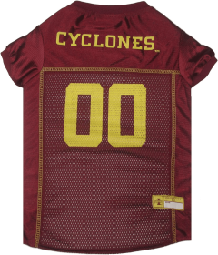 Iowa State Pet Jersey (size: XXL)