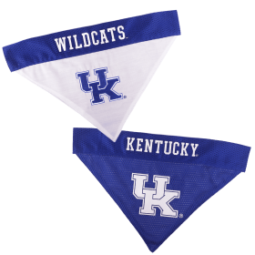 Kentucky Reversible Bandana (size: L-XL)
