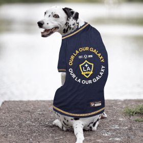 LA Galaxy Pet Tee Shirt (size: Md)