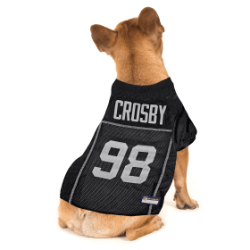Maxx Crosby Pet Striped Jersey (Oak) (Color: Team Colors, size: XS)
