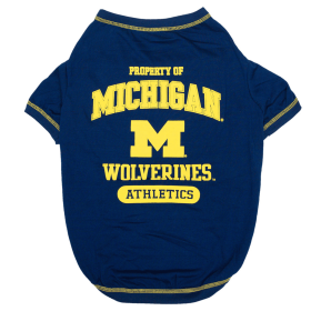Michigan Tee Shirt (size: XL)