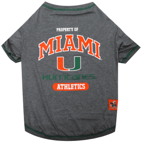 U Of Miami Tee Shirt (size: SM)