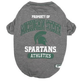 Michigan State Tee Shirt (size: LG)