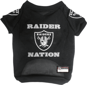 Raiders Raglan Jersey (size: XS)