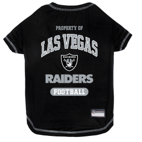 Raiders Tee Shirt (size: LG)