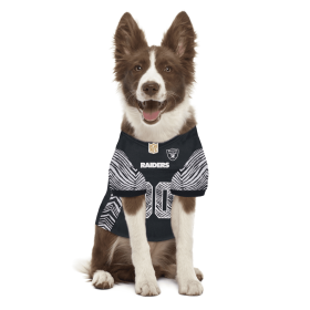 Las Vegas Raiders Zubaz Pet Jersey (size: XS)