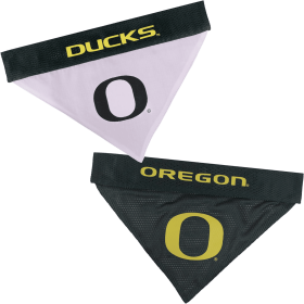 Oregon Reversible Bandana (size: S-M)