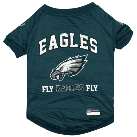 Philadelphia Eagels Raglan Jersey (size: XL)
