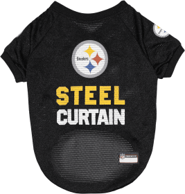 Pittsburgh Steelers Raglan Jersey (size: LG)