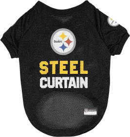 Pittsburgh Steelers Raglan Jersey (size: SM)