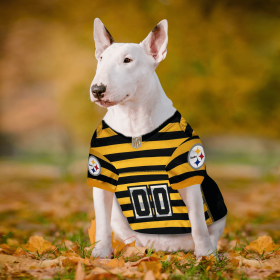 Pittsburgh Steelers Bumble Bee Throwback Jersey (size: XS)