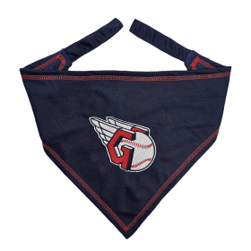 TEXAS RANGERS TIE AROUND BANDANA (size: S-M)