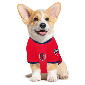 St. Louis SC Pet Jersey (size: XS)