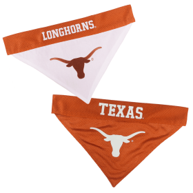 Texas Reversible Bandana (size: L-XL)