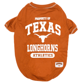 Texas Tee Shirt (size: XL)