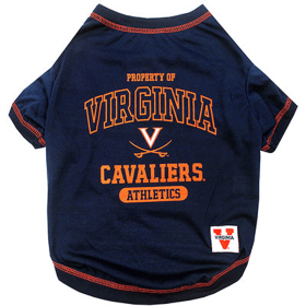 Virginia Tee Shirt (size: LG)