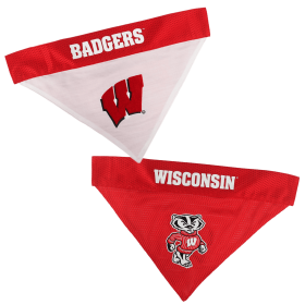 Wisconsin Reversible Bandana (size: L-XL)